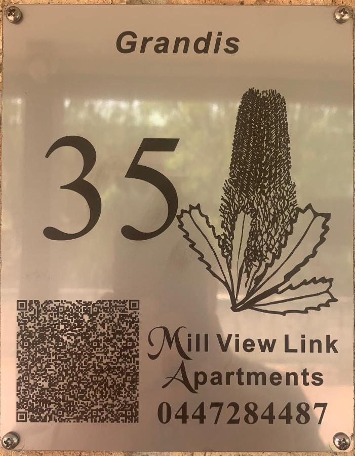 Grandis 35 Apartment *